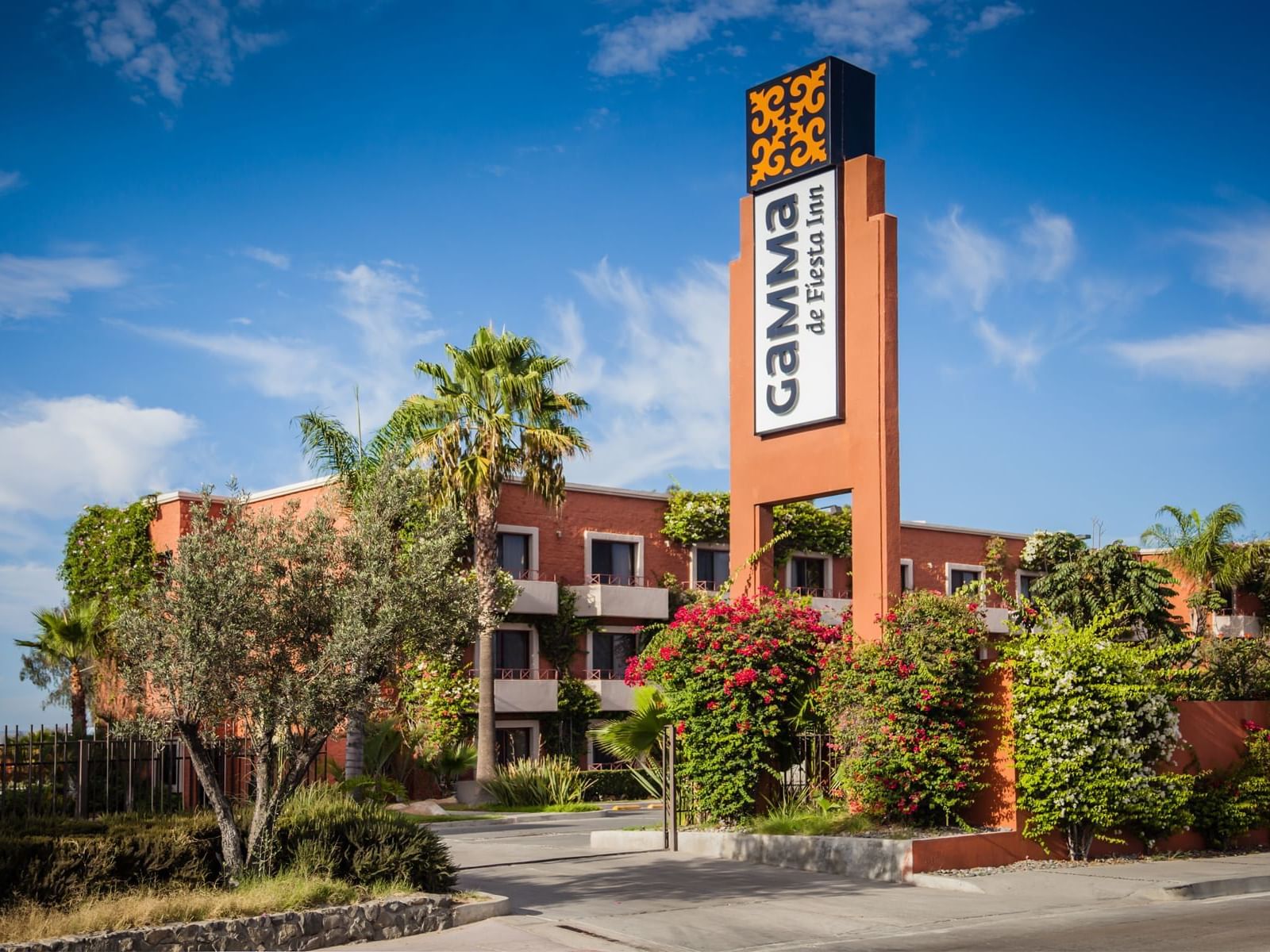 Gamma Tijuana